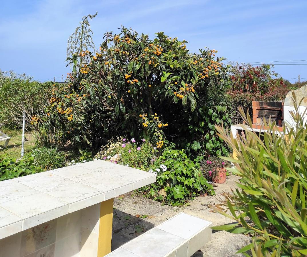 Apartamentos Na Quinta Altavista Do Carvalhal Zambujeira do Mar Exterior photo